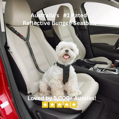 Petcuddle™ Family Bundle