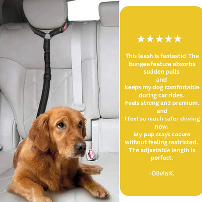 Petcuddle™ Bungee Seat Belt