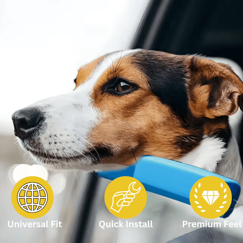 Petcuddle™ Family Bundle