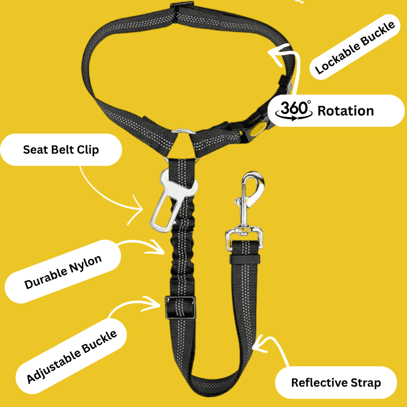 Petcuddle™ Bungee Seat Belt